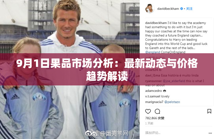 9月1日果品市场分析：最新动态与价格趋势解读