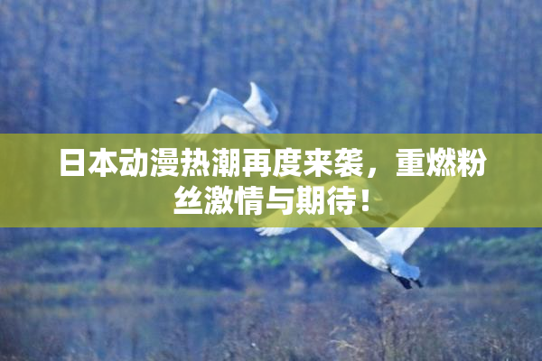 日本动漫热潮再度来袭，重燃粉丝激情与期待！