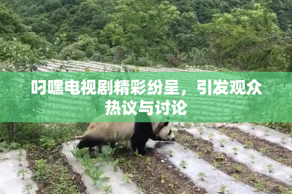 叼嘿电视剧精彩纷呈，引发观众热议与讨论