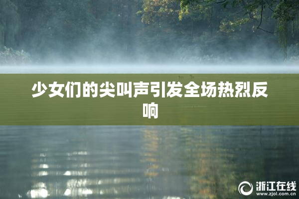 少女们的尖叫声引发全场热烈反响