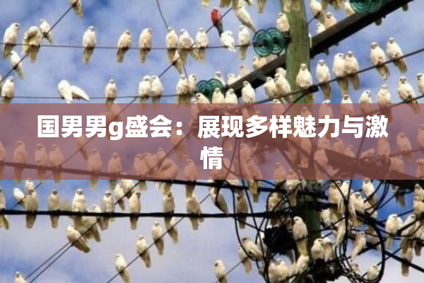 国男男g盛会：展现多样魅力与激情