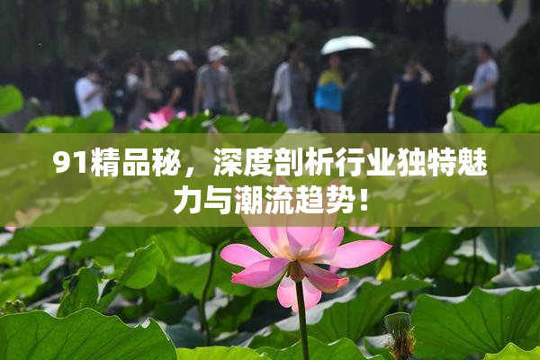 91精品秘，深度剖析行业独特魅力与潮流趋势！