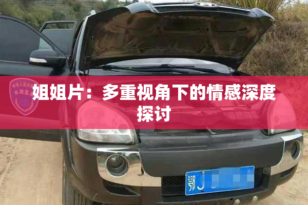 姐姐片：多重视角下的情感深度探讨