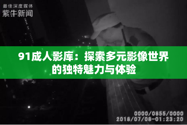 91成人影库：探索多元影像世界的独特魅力与体验