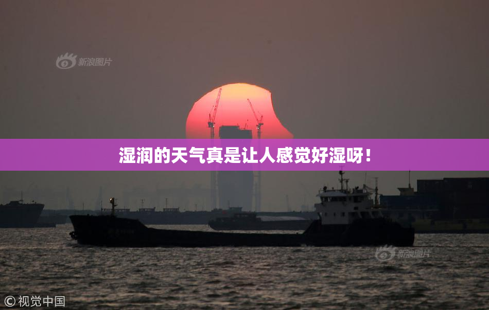 湿润的天气真是让人感觉好湿呀！