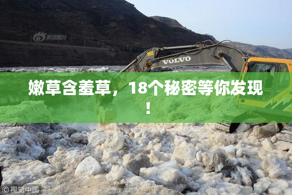 嫩草含羞草，18个秘密等你发现！