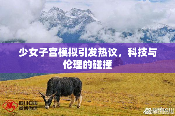 少女子宫模拟引发热议，科技与伦理的碰撞