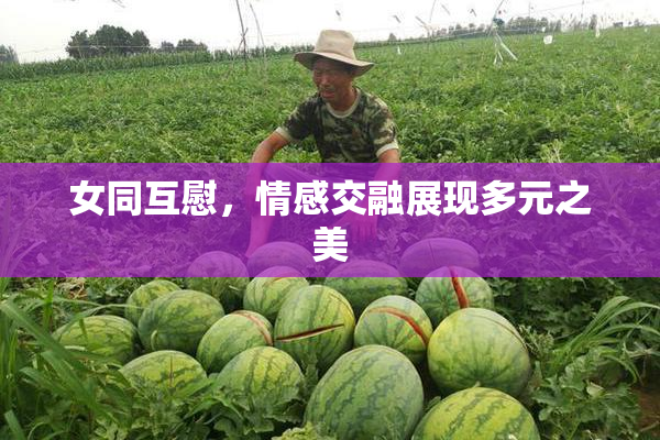 女同互慰，情感交融展现多元之美