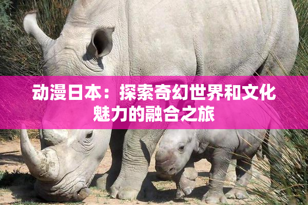 动漫日本：探索奇幻世界和文化魅力的融合之旅