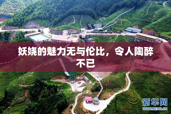 妖娆的魅力无与伦比，令人陶醉不已