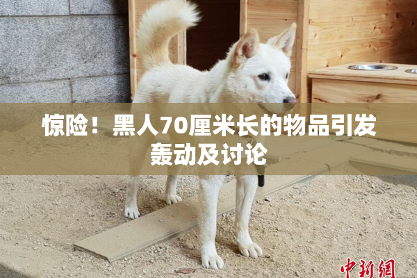 惊险！黑人70厘米长的物品引发轰动及讨论