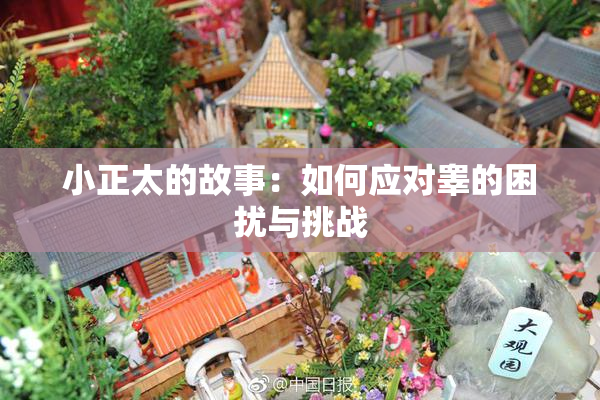 小正太的故事：如何应对睾的困扰与挑战