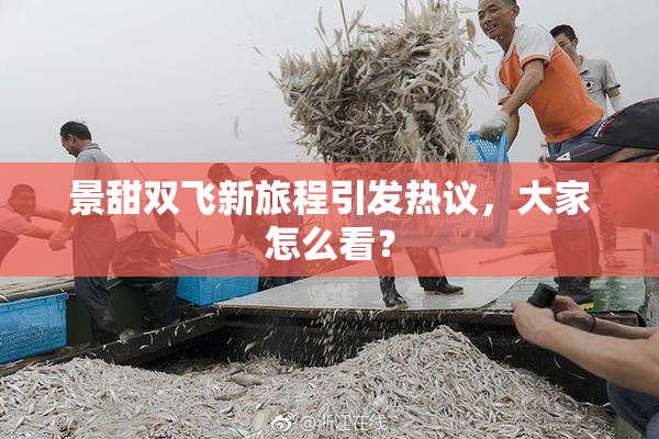 景甜双飞新旅程引发热议，大家怎么看？