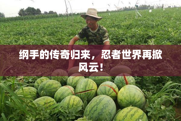 纲手的传奇归来，忍者世界再掀风云！