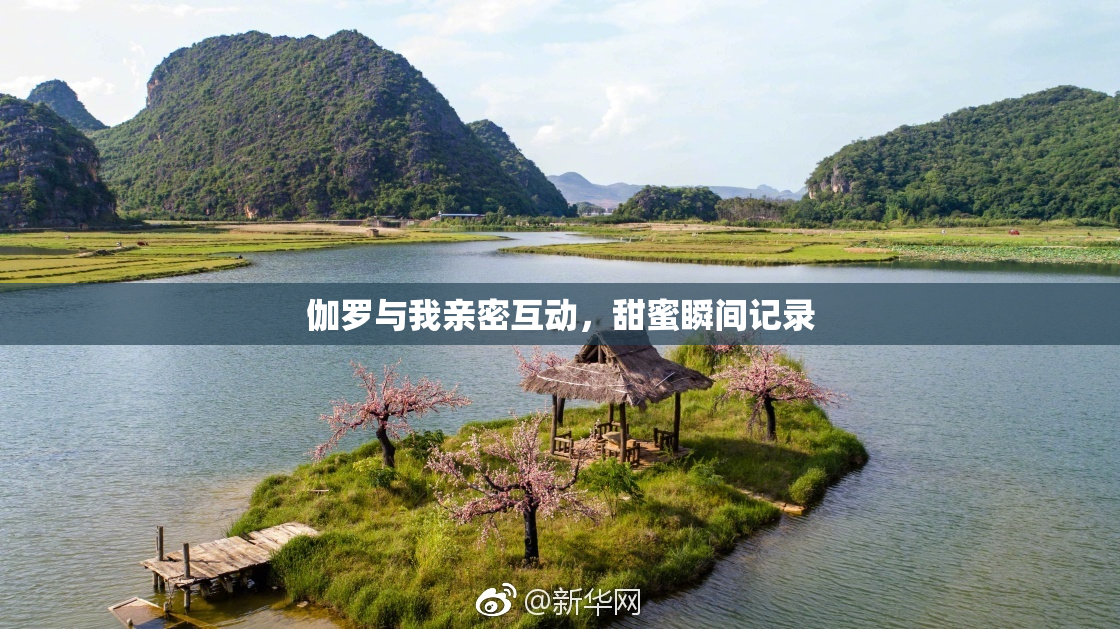 伽罗与我亲密互动，甜蜜瞬间记录