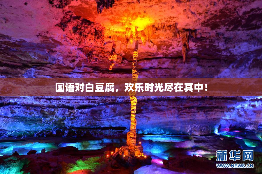 国语对白豆腐，欢乐时光尽在其中！