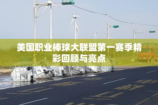 美国职业棒球大联盟第一赛季精彩回顾与亮点