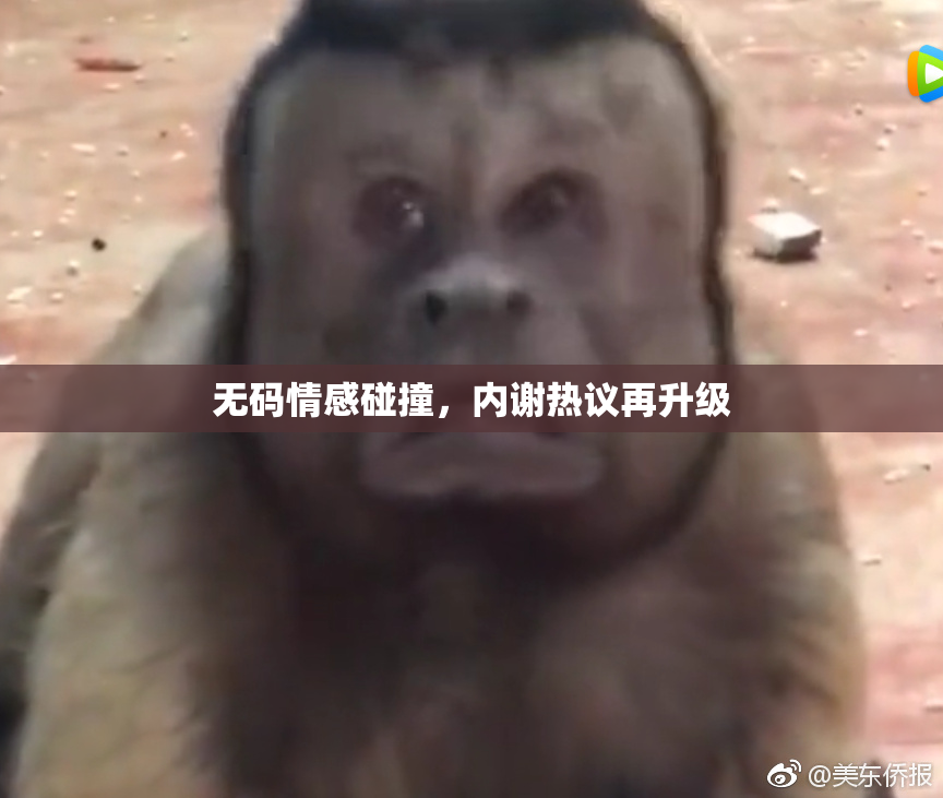 无码情感碰撞，内谢热议再升级