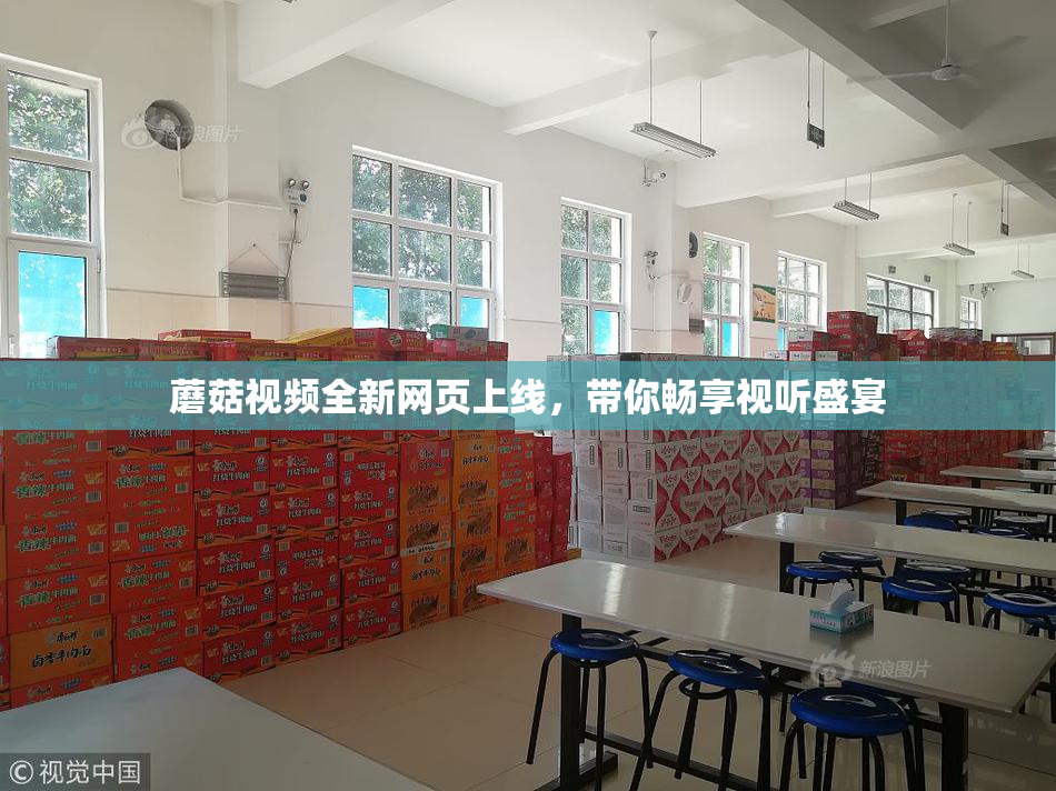 蘑菇视频全新网页上线，带你畅享视听盛宴
