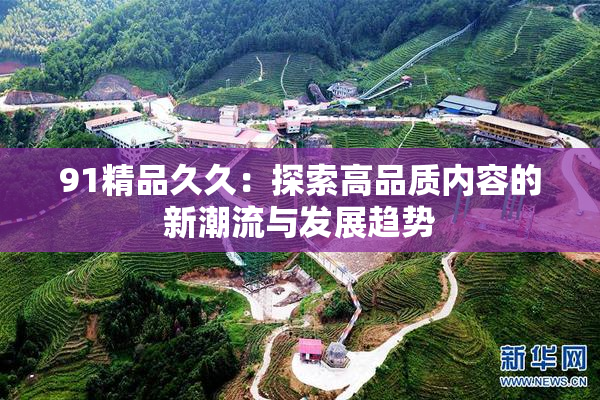 91精品久久：探索高品质内容的新潮流与发展趋势