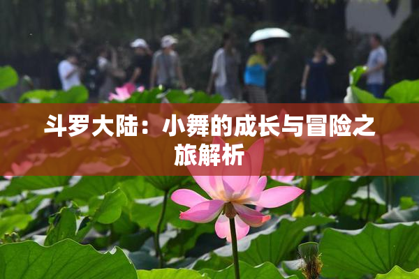 斗罗大陆：小舞的成长与冒险之旅解析