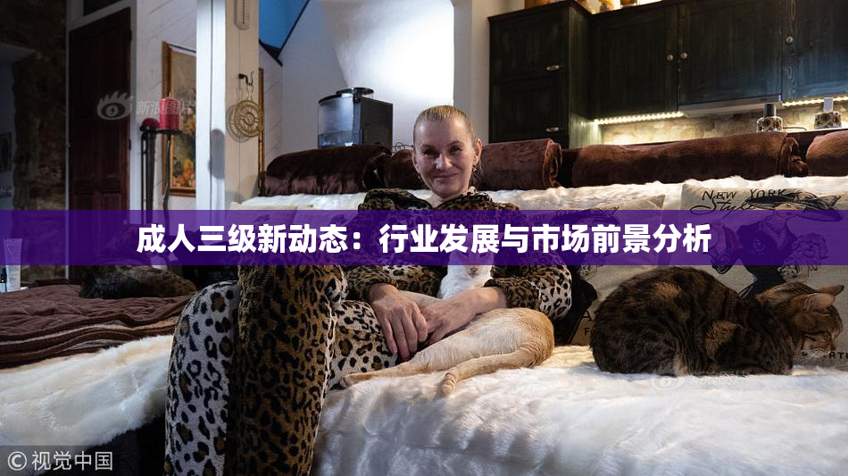 成人三级新动态：行业发展与市场前景分析