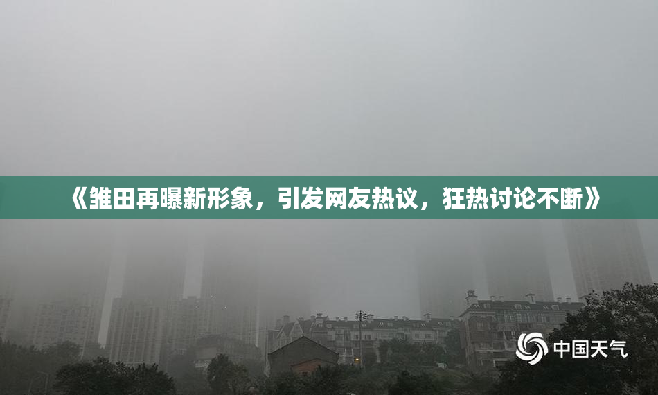 《雏田再曝新形象，引发网友热议，狂热讨论不断》