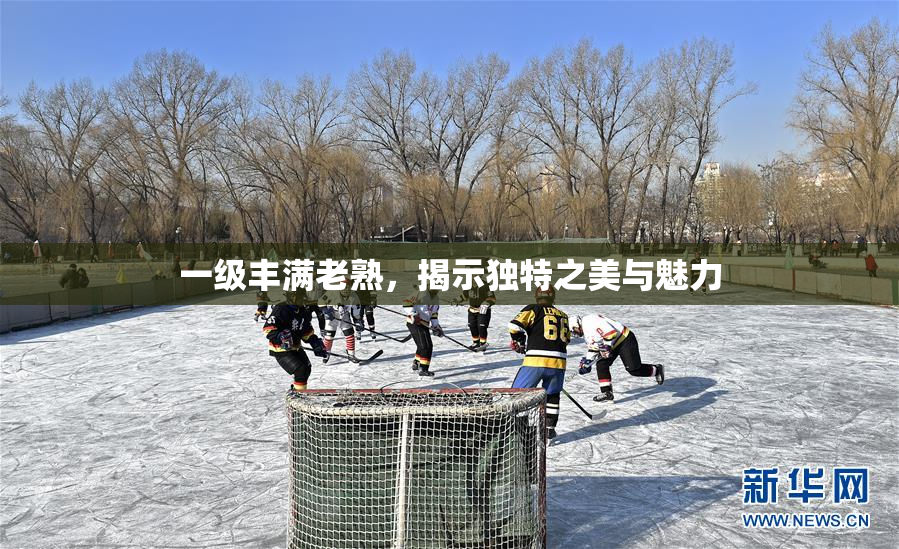 一级丰满老熟，揭示独特之美与魅力