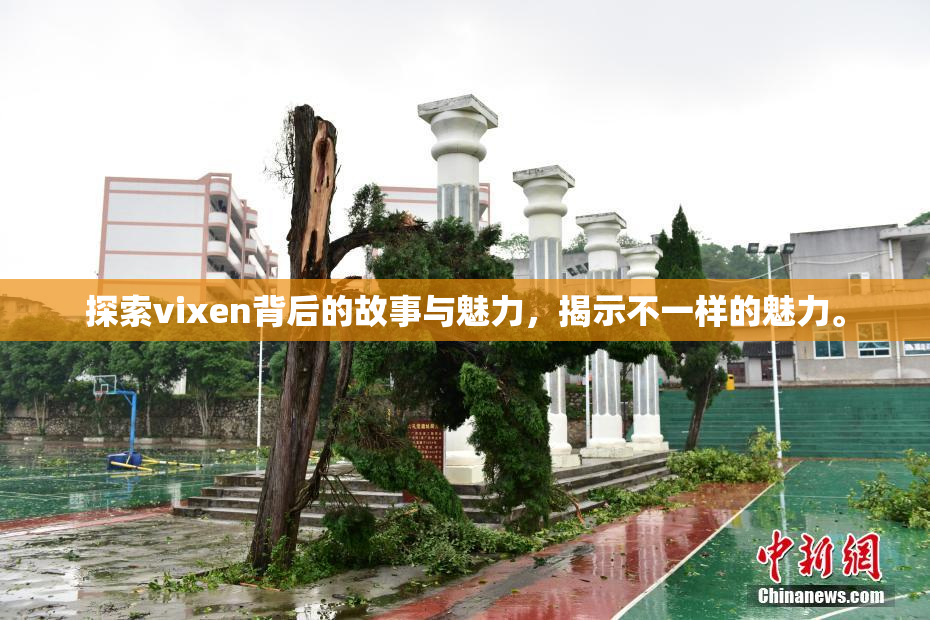 探索vixen背后的故事与魅力，揭示不一样的魅力。