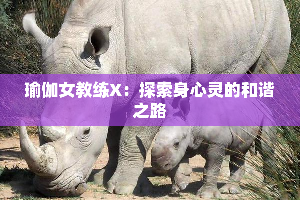 瑜伽女教练X：探索身心灵的和谐之路