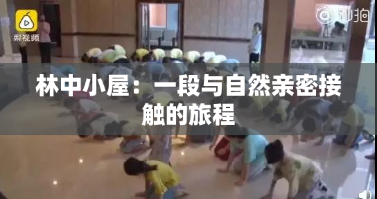 林中小屋：一段与自然亲密接触的旅程