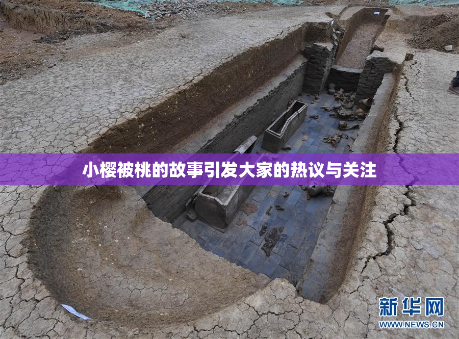 小樱被桃的故事引发大家的热议与关注