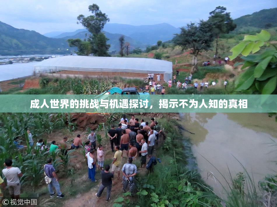 成人世界的挑战与机遇探讨，揭示不为人知的真相