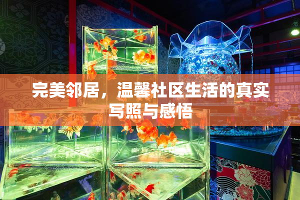 完美邻居，温馨社区生活的真实写照与感悟