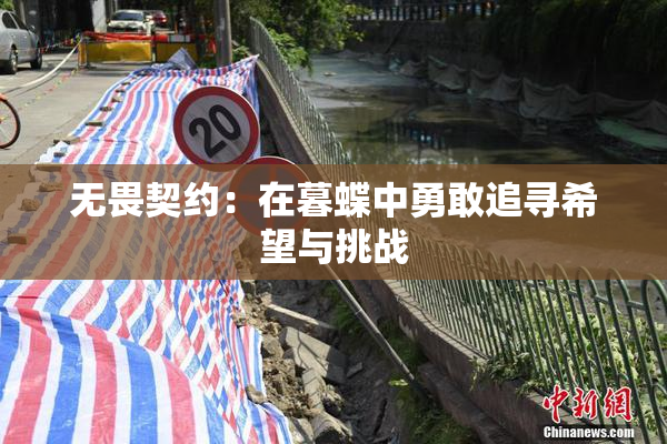 无畏契约：在暮蝶中勇敢追寻希望与挑战
