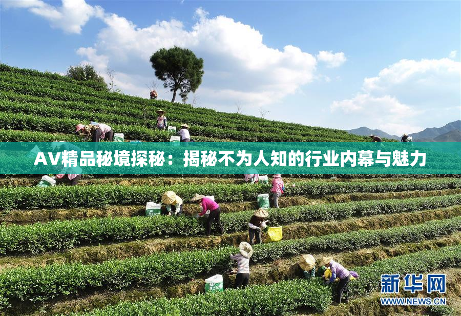 AV精品秘境探秘：揭秘不为人知的行业内幕与魅力