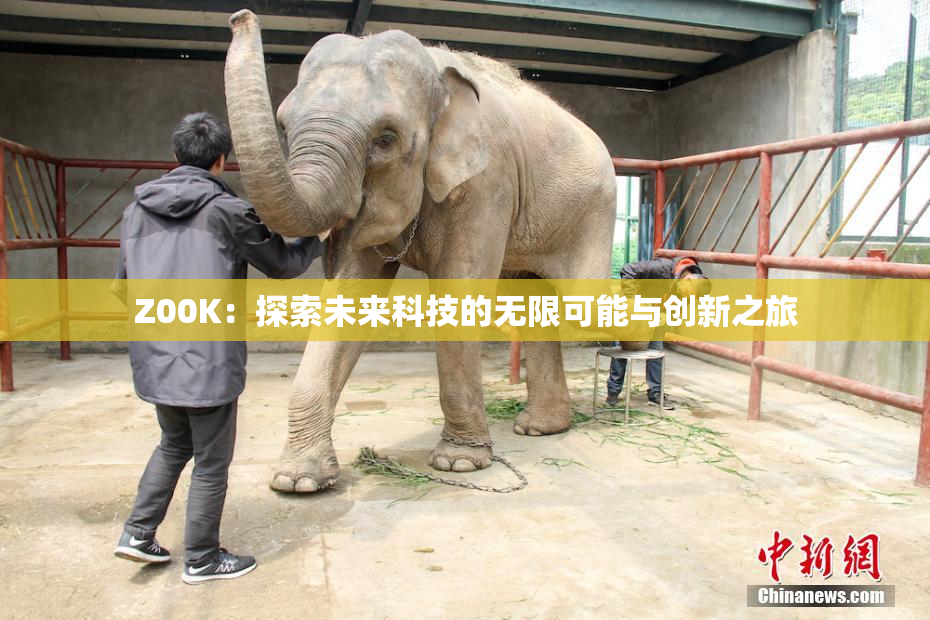 Z00K：探索未来科技的无限可能与创新之旅