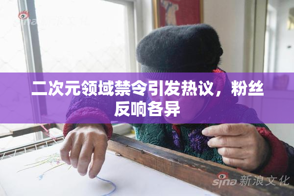 二次元领域禁令引发热议，粉丝反响各异