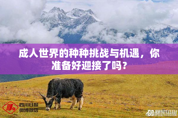 成人世界的种种挑战与机遇，你准备好迎接了吗？