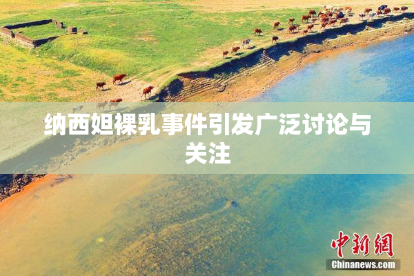 纳西妲裸乳事件引发广泛讨论与关注