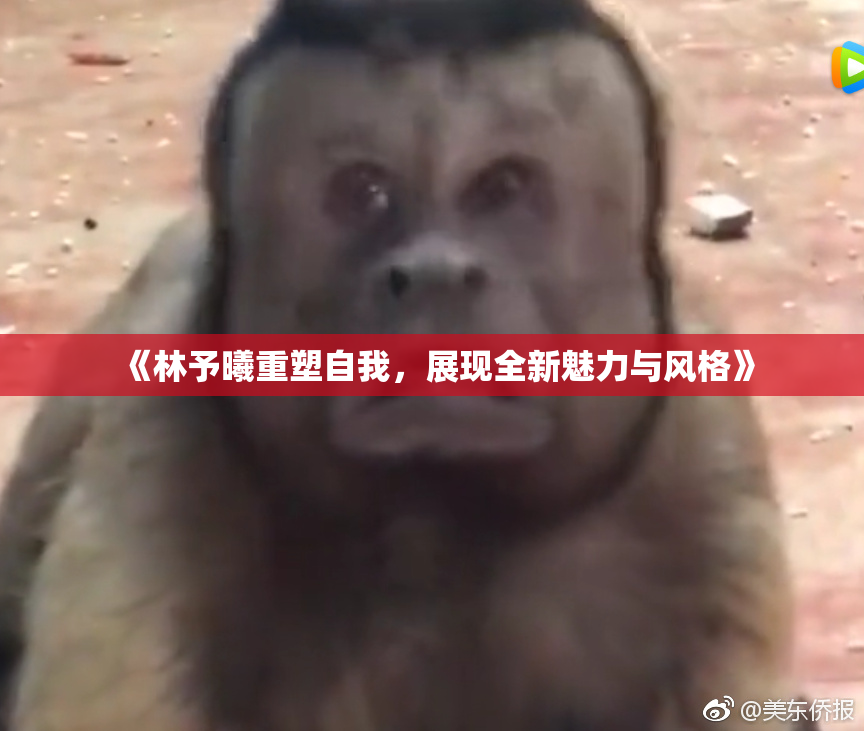 《林予曦重塑自我，展现全新魅力与风格》