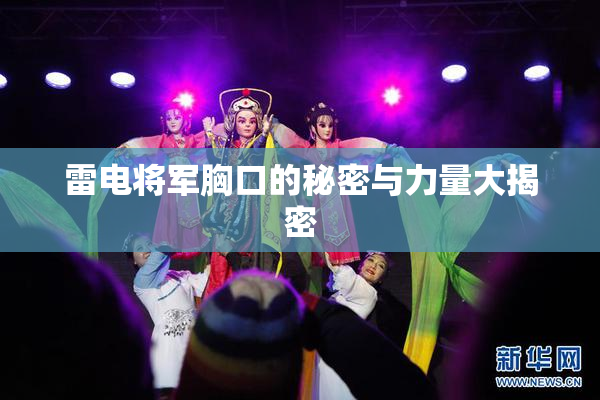 雷电将军胸口的秘密与力量大揭密