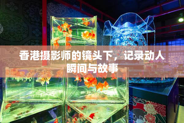 香港摄影师的镜头下，记录动人瞬间与故事