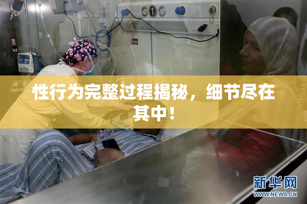 性行为完整过程揭秘，细节尽在其中！