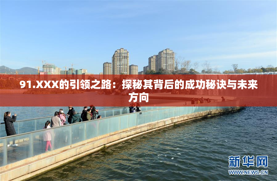 91.XXX的引领之路：探秘其背后的成功秘诀与未来方向