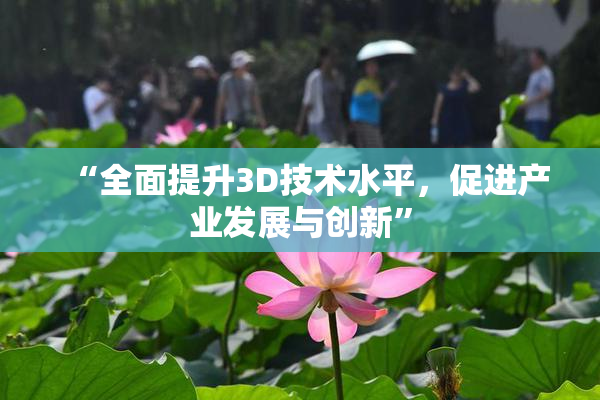 “全面提升3D技术水平，促进产业发展与创新”