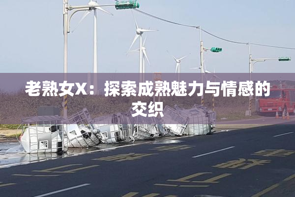 老熟女X：探索成熟魅力与情感的交织