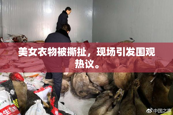美女衣物被撕扯，现场引发围观热议。