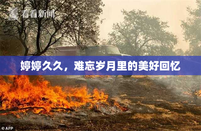 婷婷久久，难忘岁月里的美好回忆