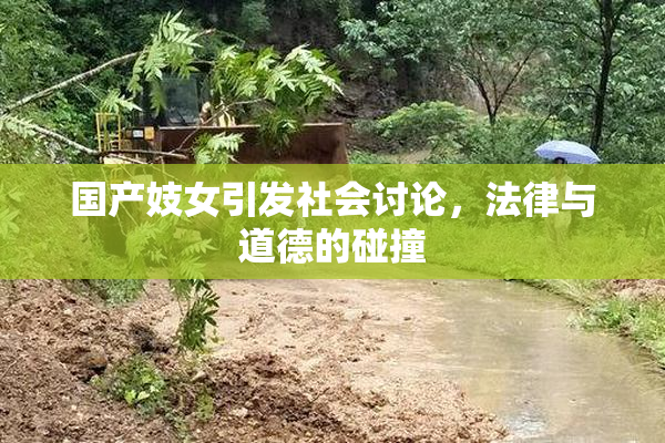 国产妓女引发社会讨论，法律与道德的碰撞